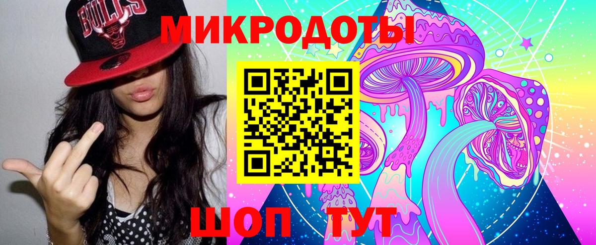 Галлюциногенные грибы Cubensis Выборг