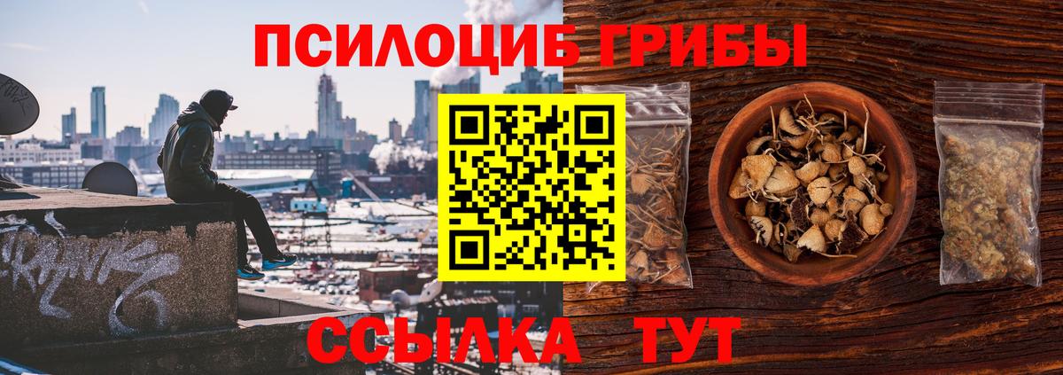 купить закладку  Псилоцибиновые грибы прущие грибы  Вход с VPN  Галлюциногенные грибы MAGIC MUSHROOMS  Выборг 